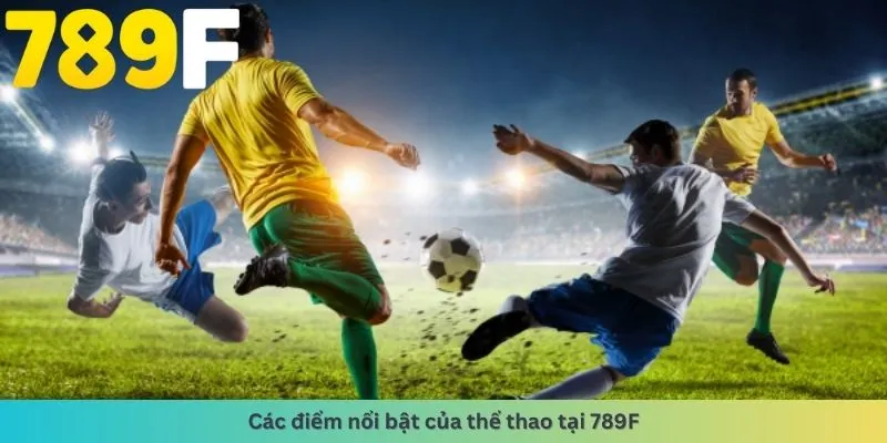Các điểm nổi bật
