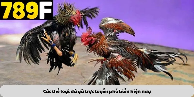 Các thể loại đá gà trực tuyến phổ biến hiện nay