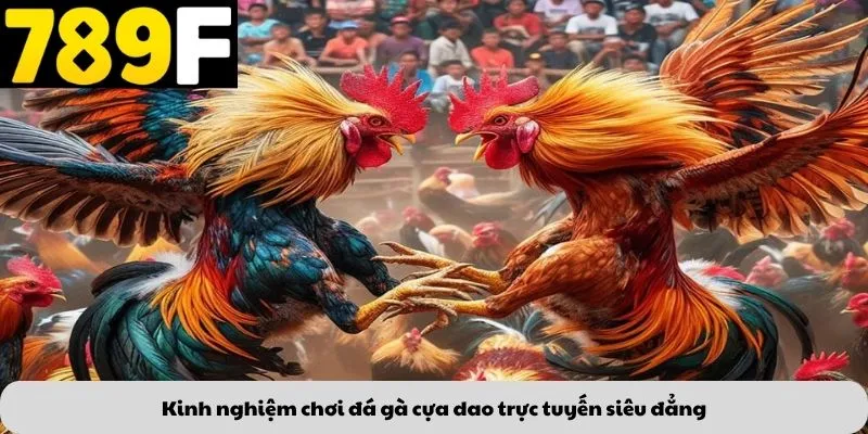 Kinh nghiệm chơi đá gà cựa dao trực tuyến siêu đẳng