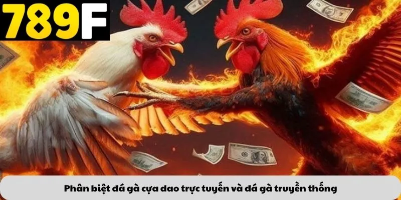 Phân biệt đá gà cựa dao trực tuyến và đá gà truyền thống