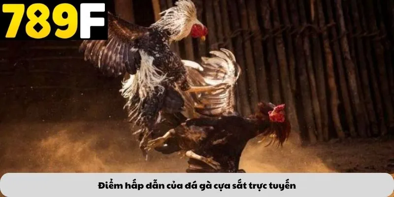 Điểm hấp dẫn của đá gà cựa sắt trực tuyến