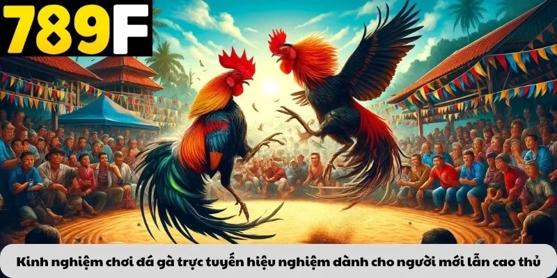 Kinh nghiệm chơi đá gà trực tuyến hiệu nghiệm dành cho người mới lẫn cao thủ