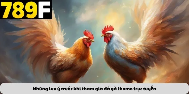 Những lưu ý trước khi tham gia đá gà thomo trực tuyến