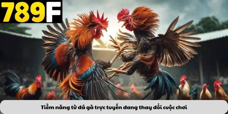 Tiềm năng từ đá gà trực tuyến đang thay đổi cuộc chơi