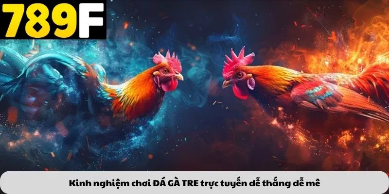 Sức hút của ĐÁ GÀ TRE trực tuyến với giới trẻ hiện đại
