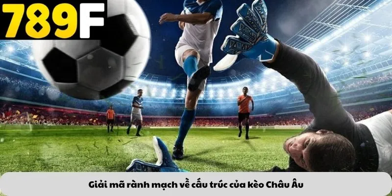 Giải mã rành mạch về cấu trúc của kèo Châu Âu