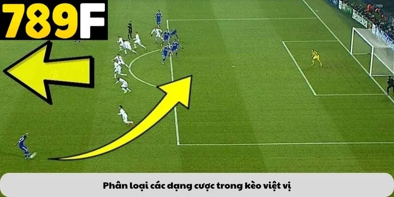 Phân loại các dạng cược trong kèo việt vị