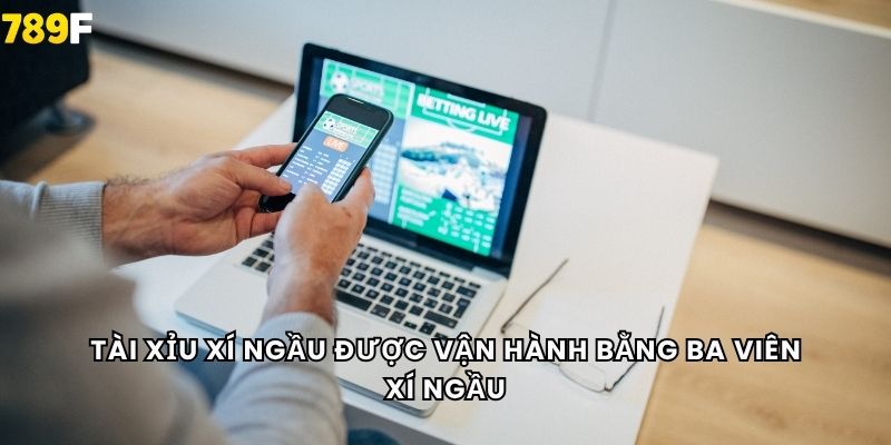 Tài xỉu xí ngầu được vận hành bằng ba viên xí ngầu